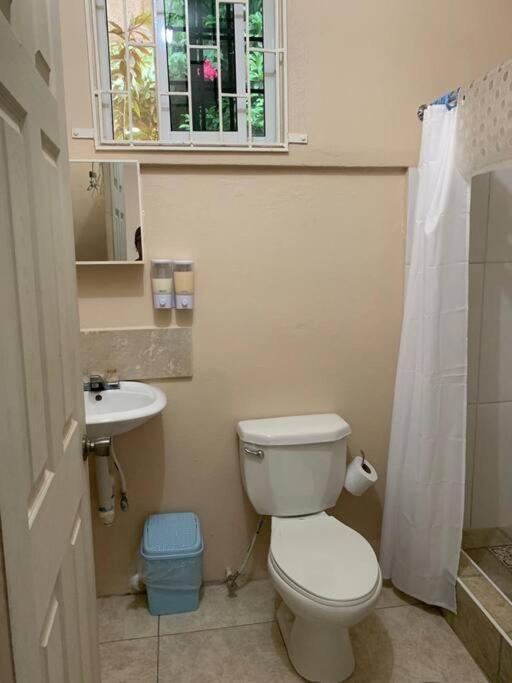 Mona Studio Suite Κίνγκστον Εξωτερικό φωτογραφία