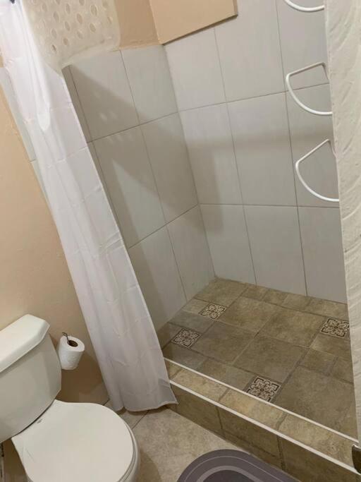Mona Studio Suite Κίνγκστον Εξωτερικό φωτογραφία