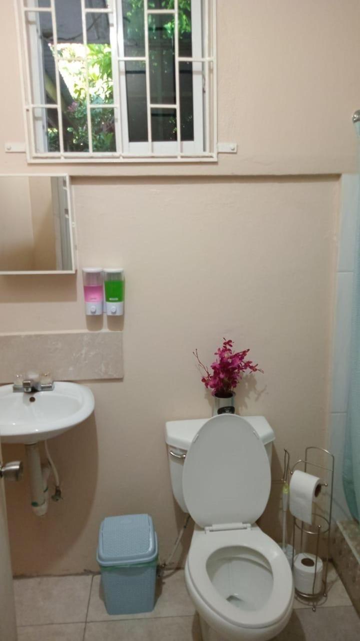 Mona Studio Suite Κίνγκστον Εξωτερικό φωτογραφία