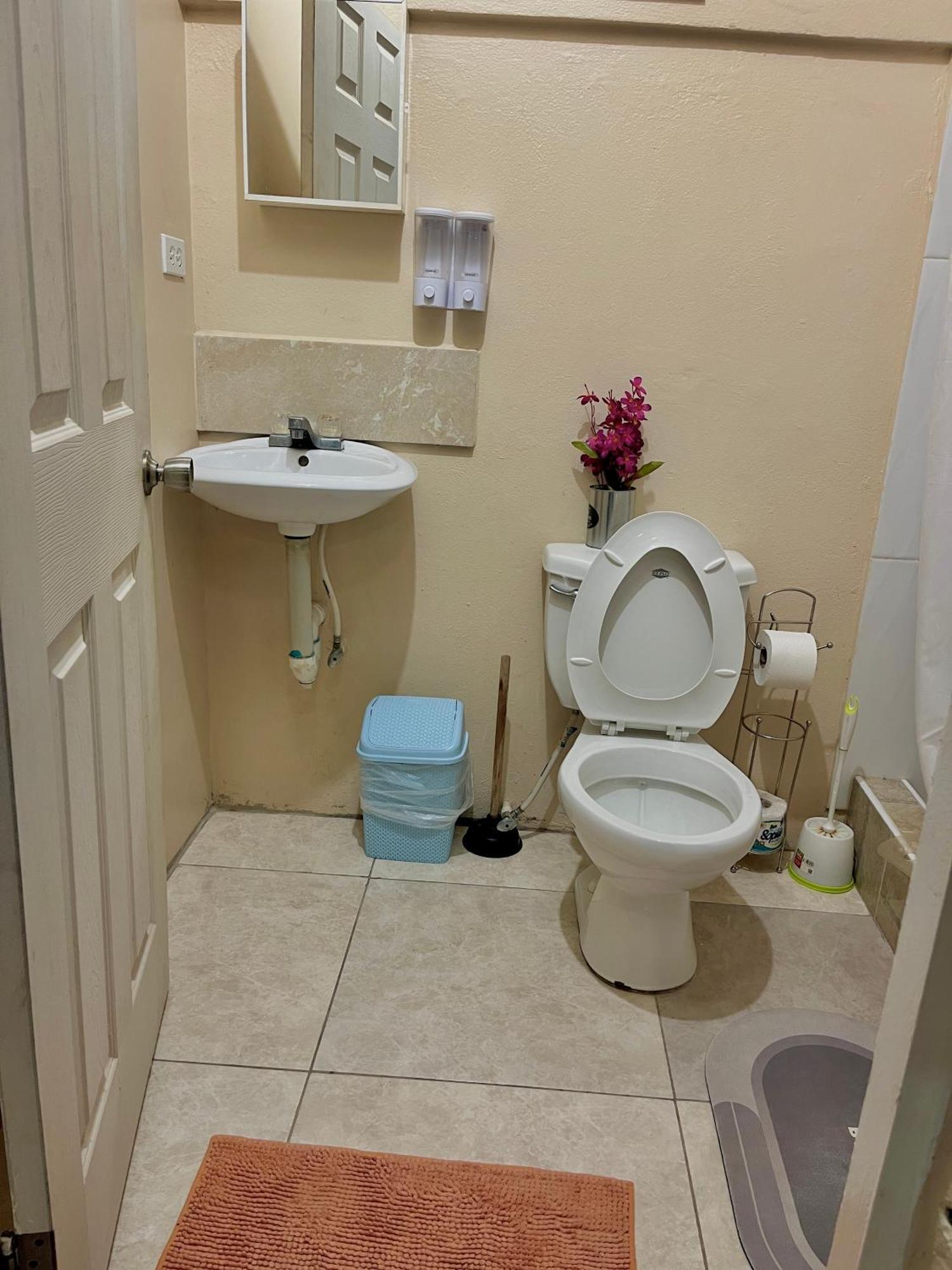 Mona Studio Suite Κίνγκστον Εξωτερικό φωτογραφία